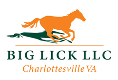 Big Lick LLC